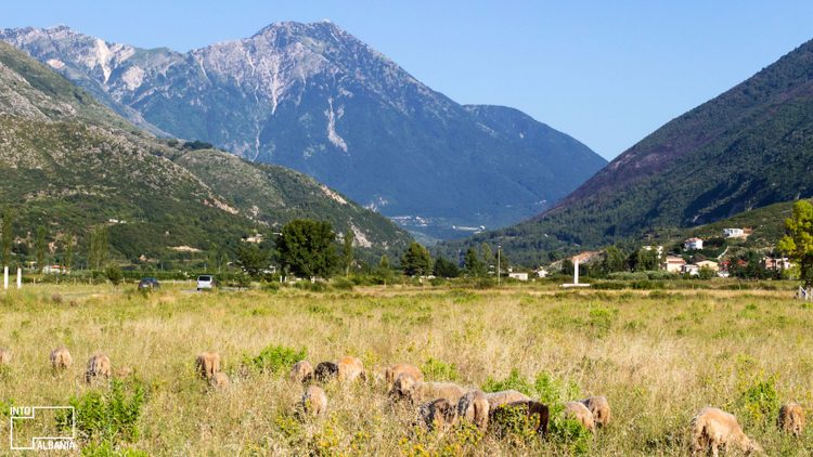 Udhëtoni me kujdes: Këshilla për të ruajtur bukurinë e Shqipërisë